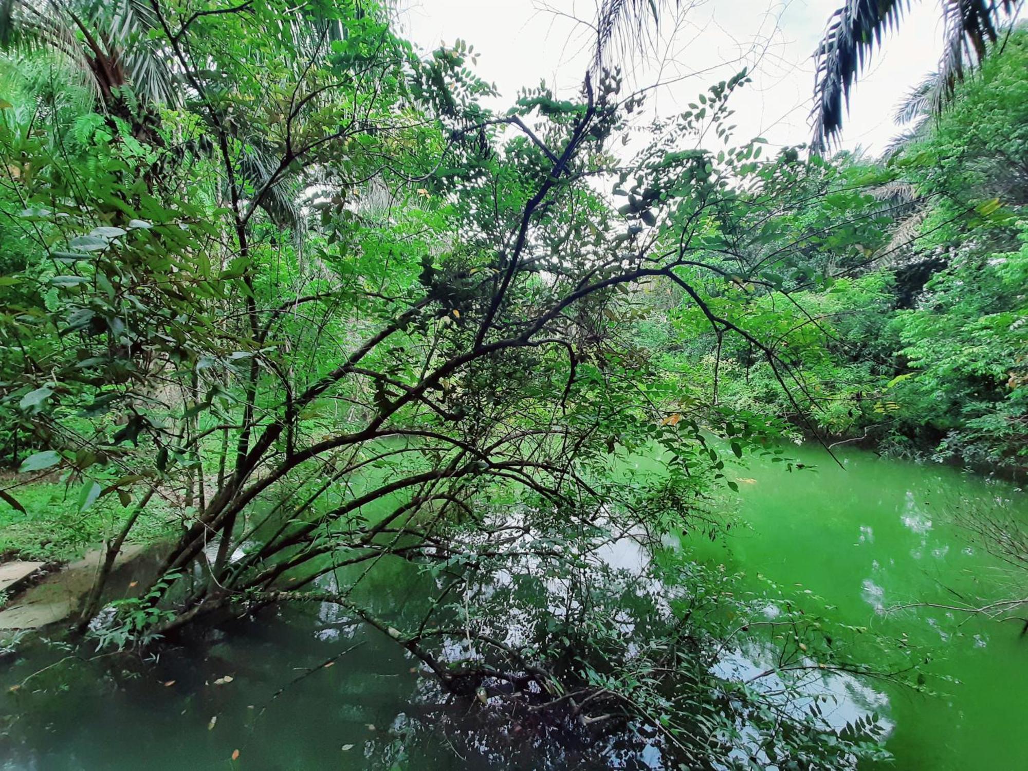 Tuaprodhome Khao Lak Pokoj fotografie