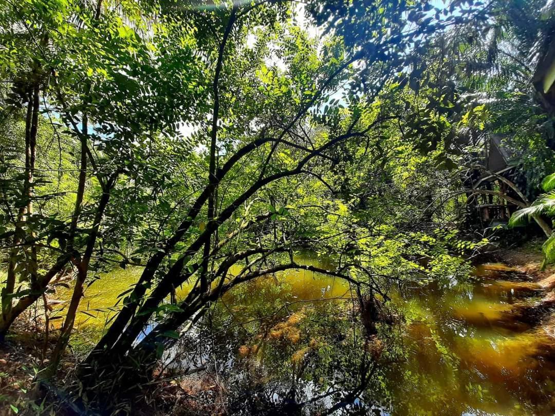 Tuaprodhome Khao Lak Pokoj fotografie