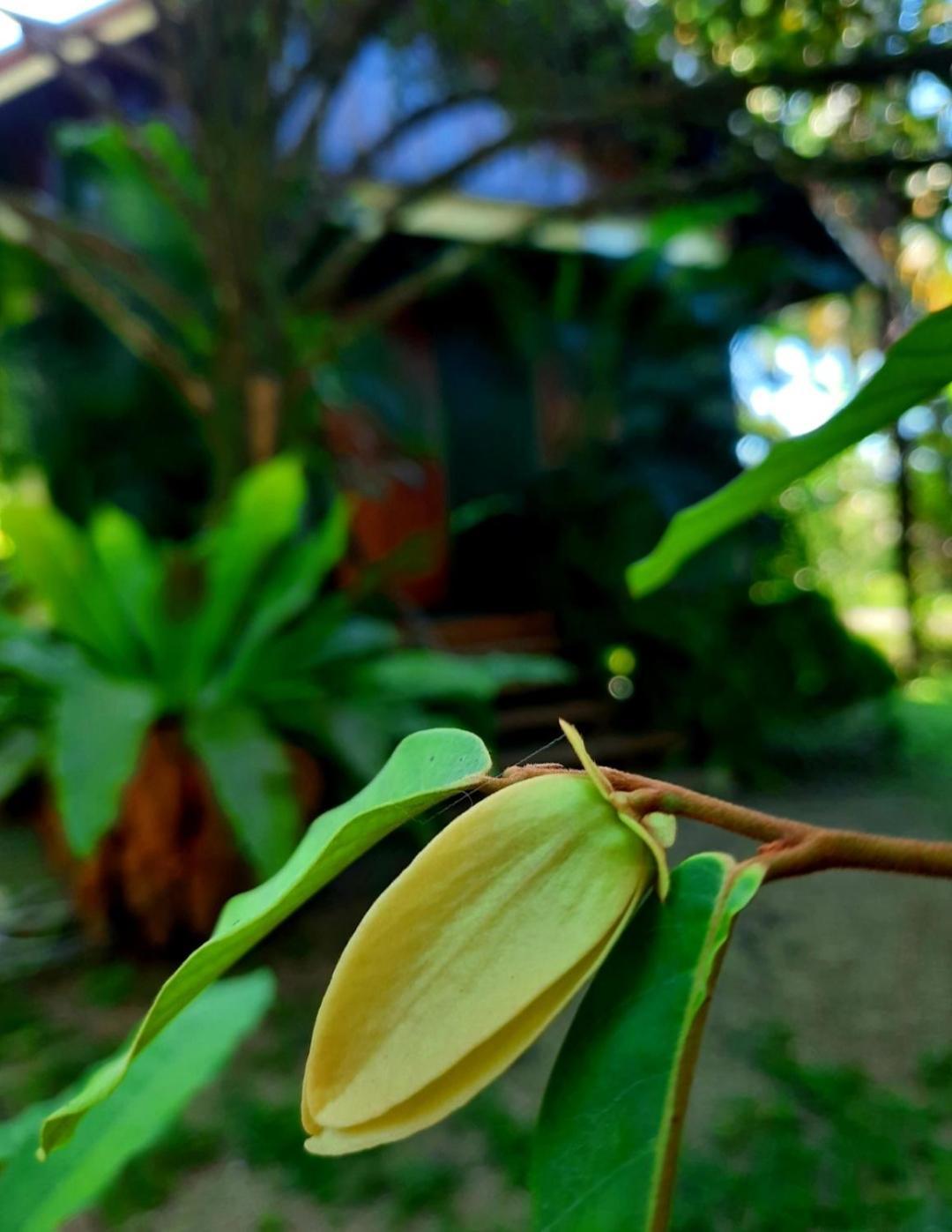 Tuaprodhome Khao Lak Pokoj fotografie