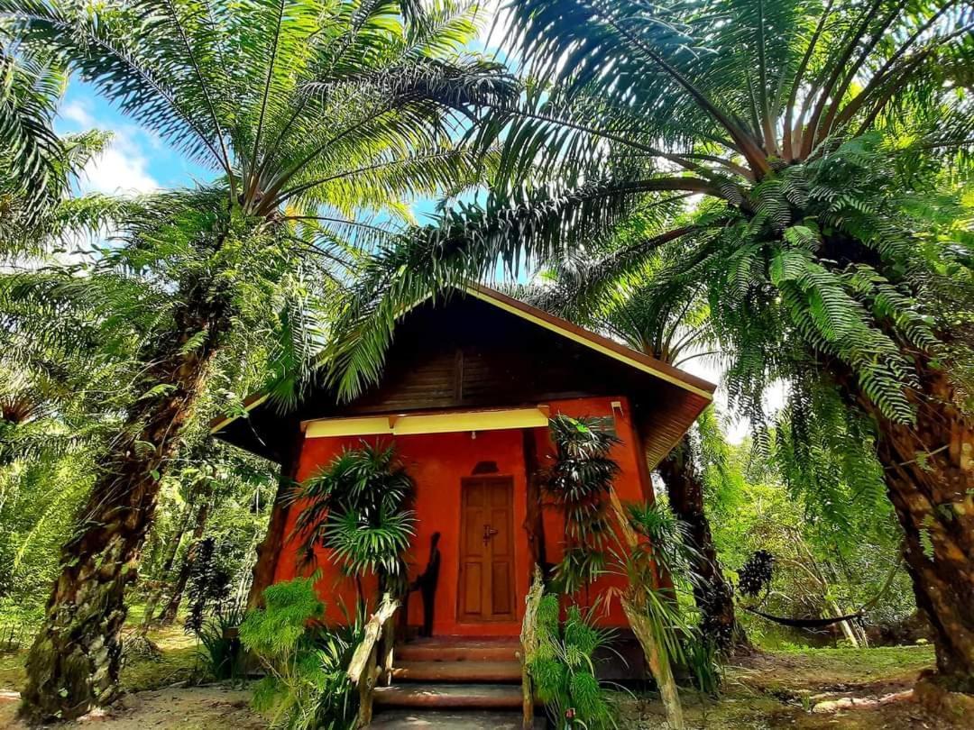Tuaprodhome Khao Lak Pokoj fotografie