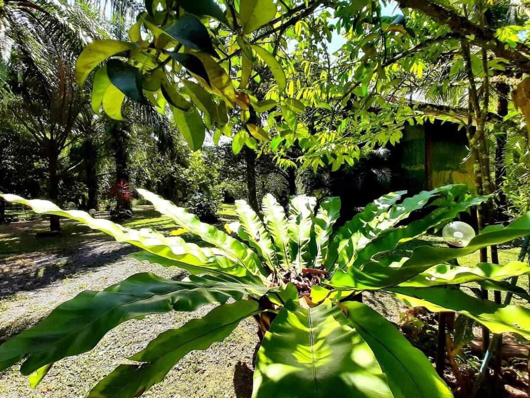 Tuaprodhome Khao Lak Pokoj fotografie