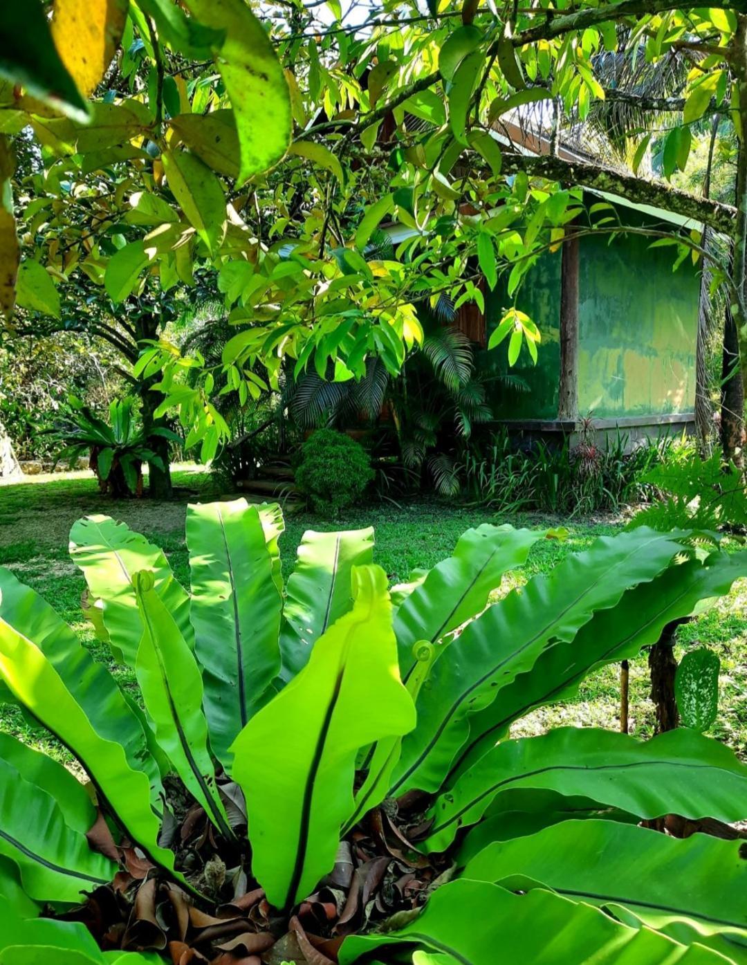 Tuaprodhome Khao Lak Pokoj fotografie