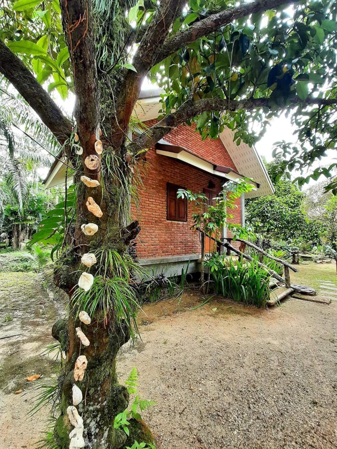 Tuaprodhome Khao Lak Pokoj fotografie