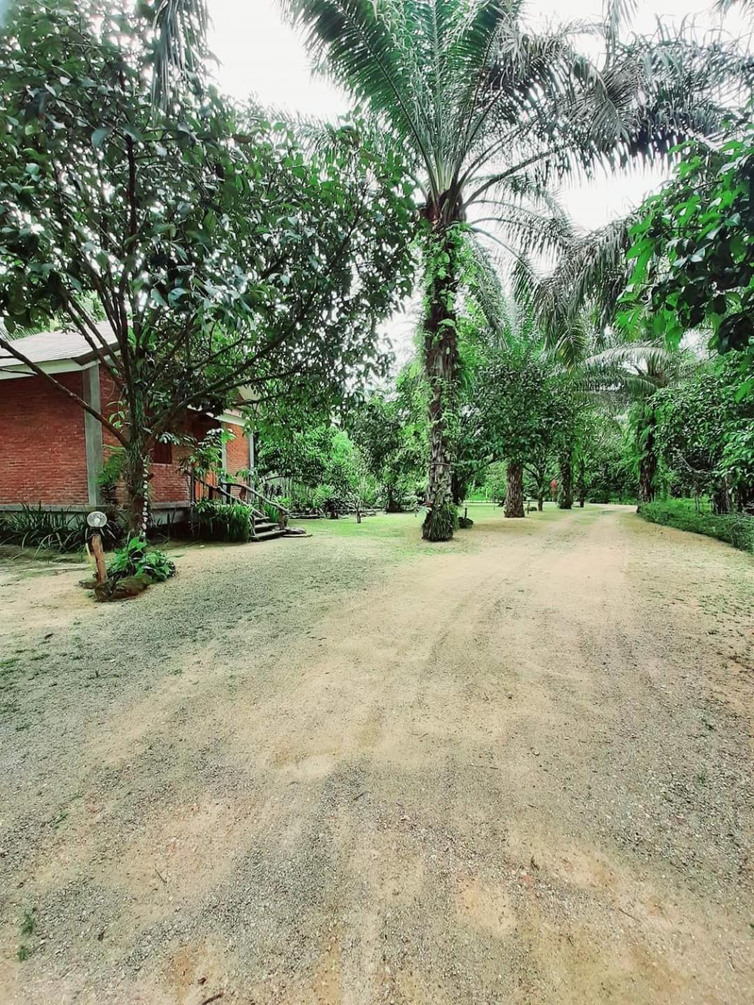 Tuaprodhome Khao Lak Pokoj fotografie